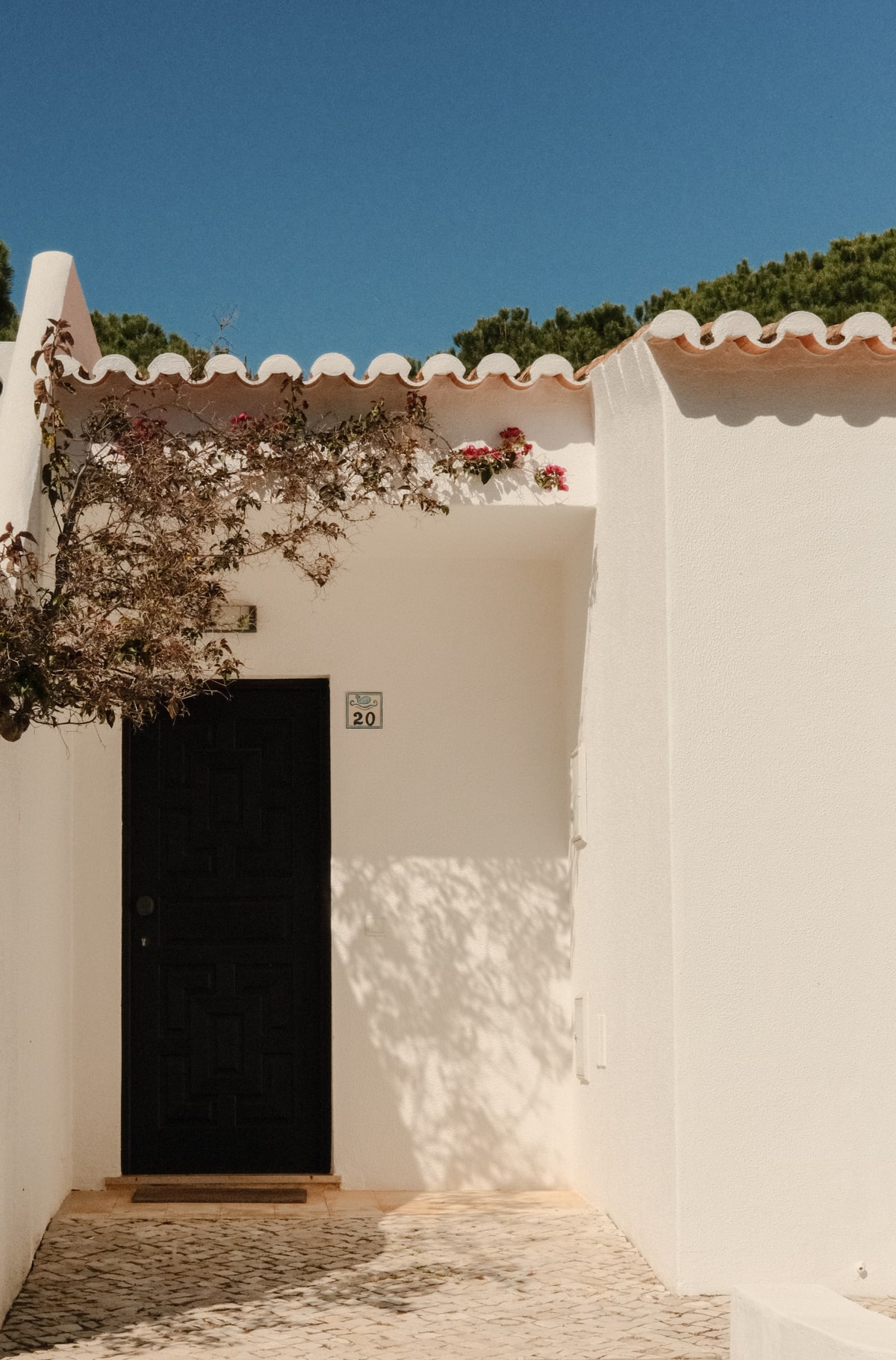 Balaia house