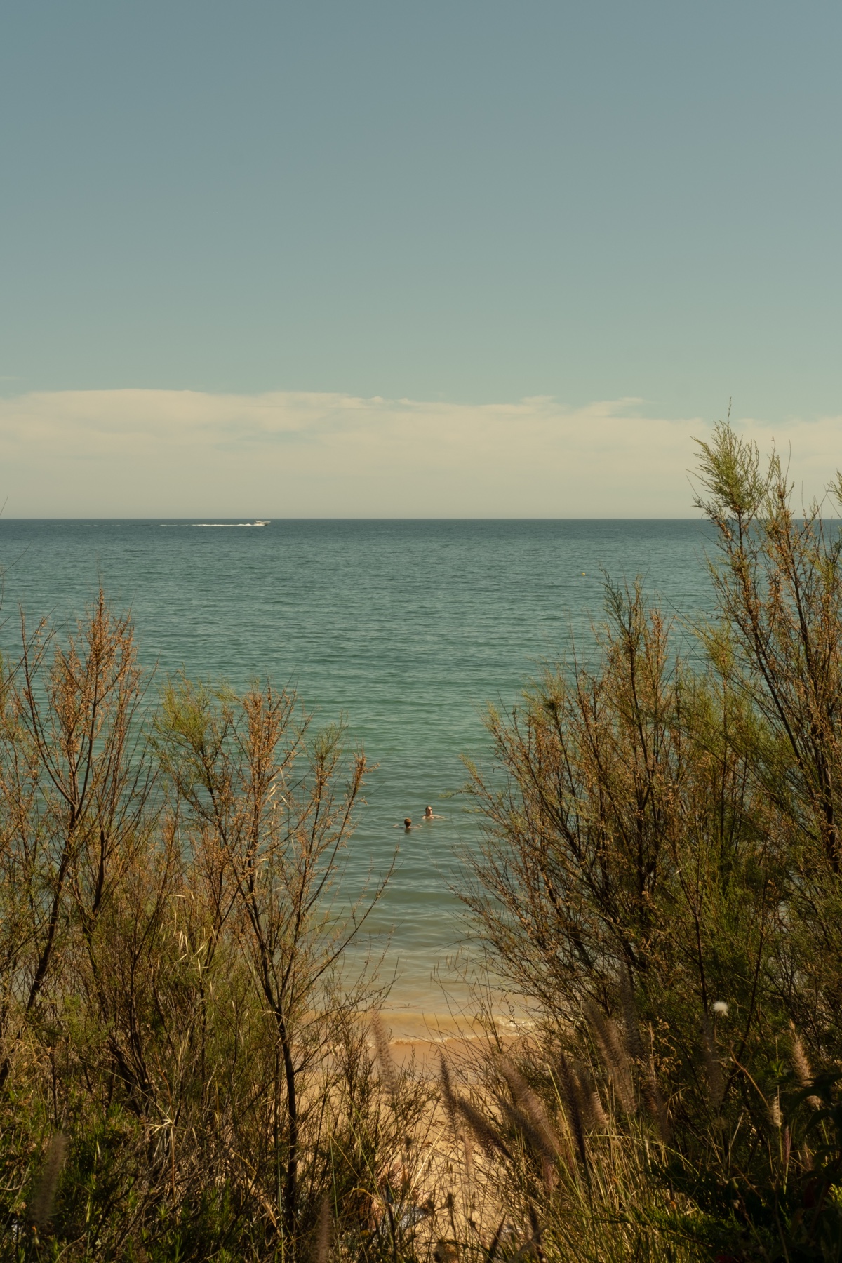The last stretch of summer