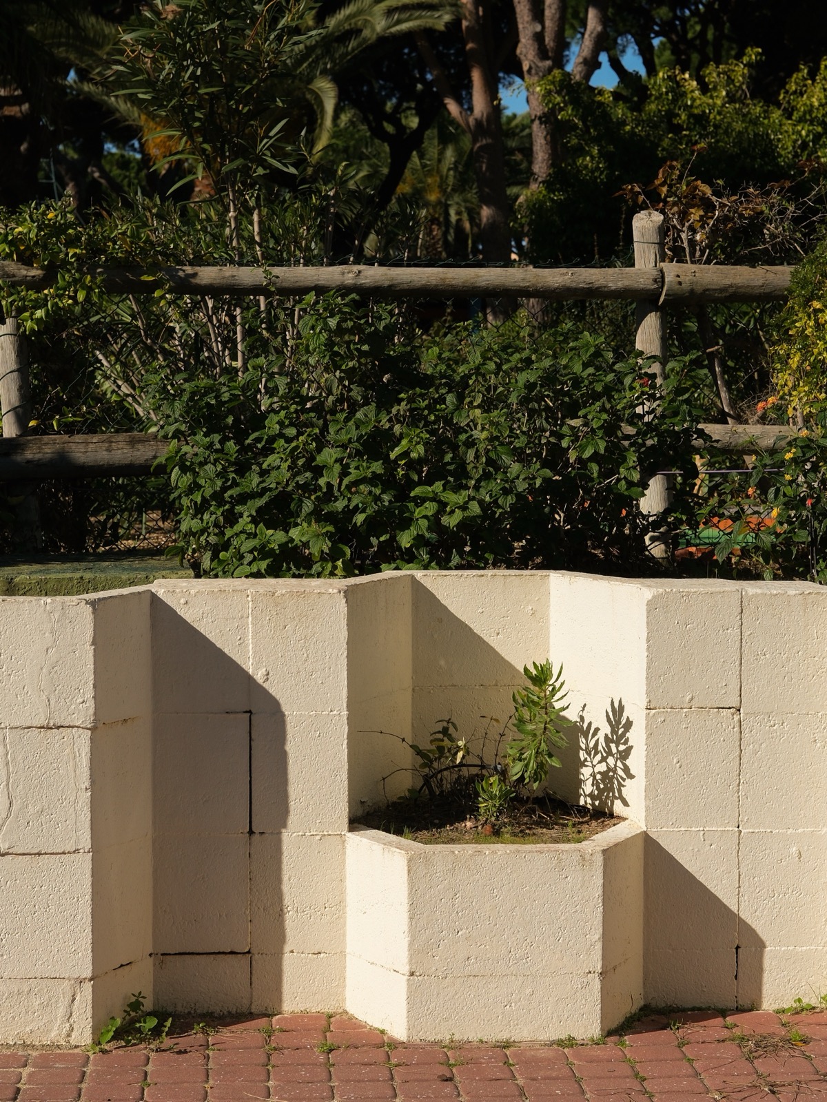 Pine Cliffs wall